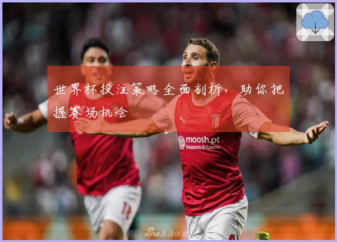 世界杯投注策略全面剖析，助你把握赛场机会