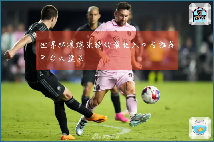 世界杯滚球竞猜的最佳入口与推荐平台大盘点