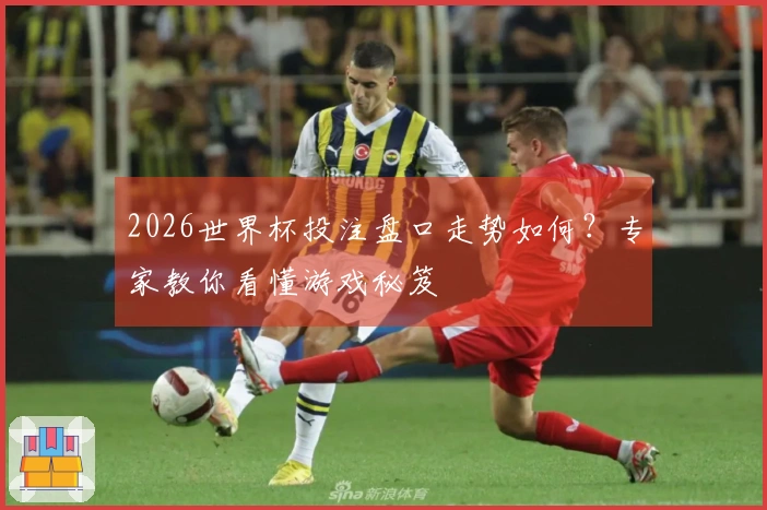 2026世界杯投注盘口走势如何？专家教你看懂游戏秘笈