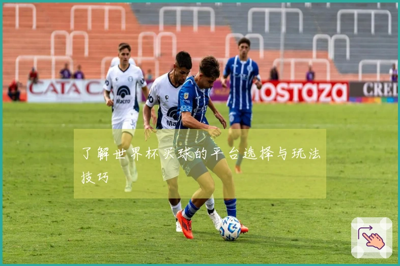 了解世界杯买球的平台选择与玩法技巧