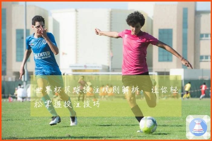 世界杯买球投注规则解析，让你轻松掌握投注技巧