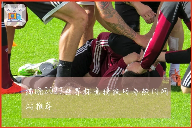 揭晓2023世界杯竞猜技巧与热门网站推荐