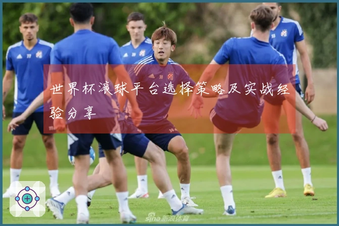 世界杯滚球平台选择策略及实战经验分享