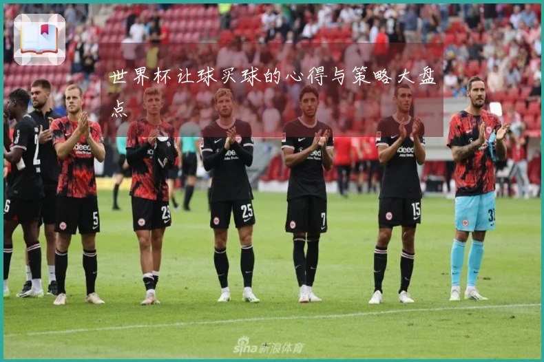 世界杯让球买球的心得与策略大盘点