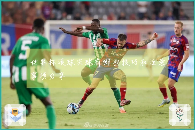 世界杯滚球买球有哪些技巧和注意事项分享