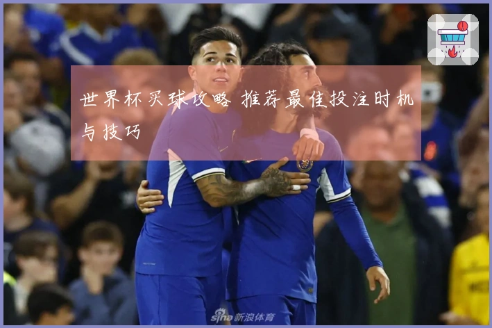 世界杯买球攻略 推荐最佳投注时机与技巧